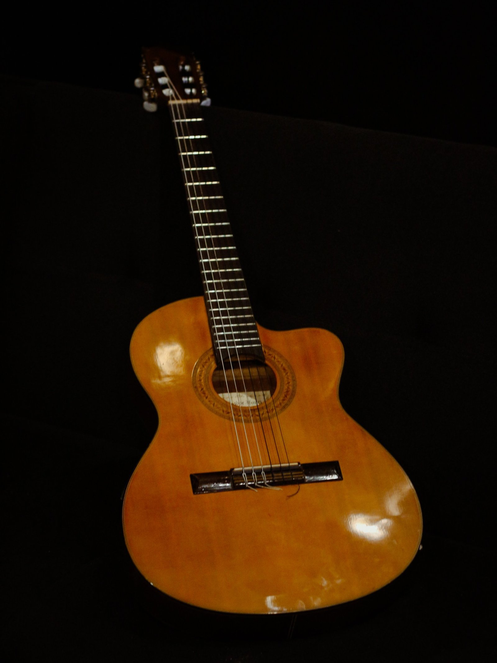 Ibanez Thinline Classical Salvador GA5TCE-AM (Used)