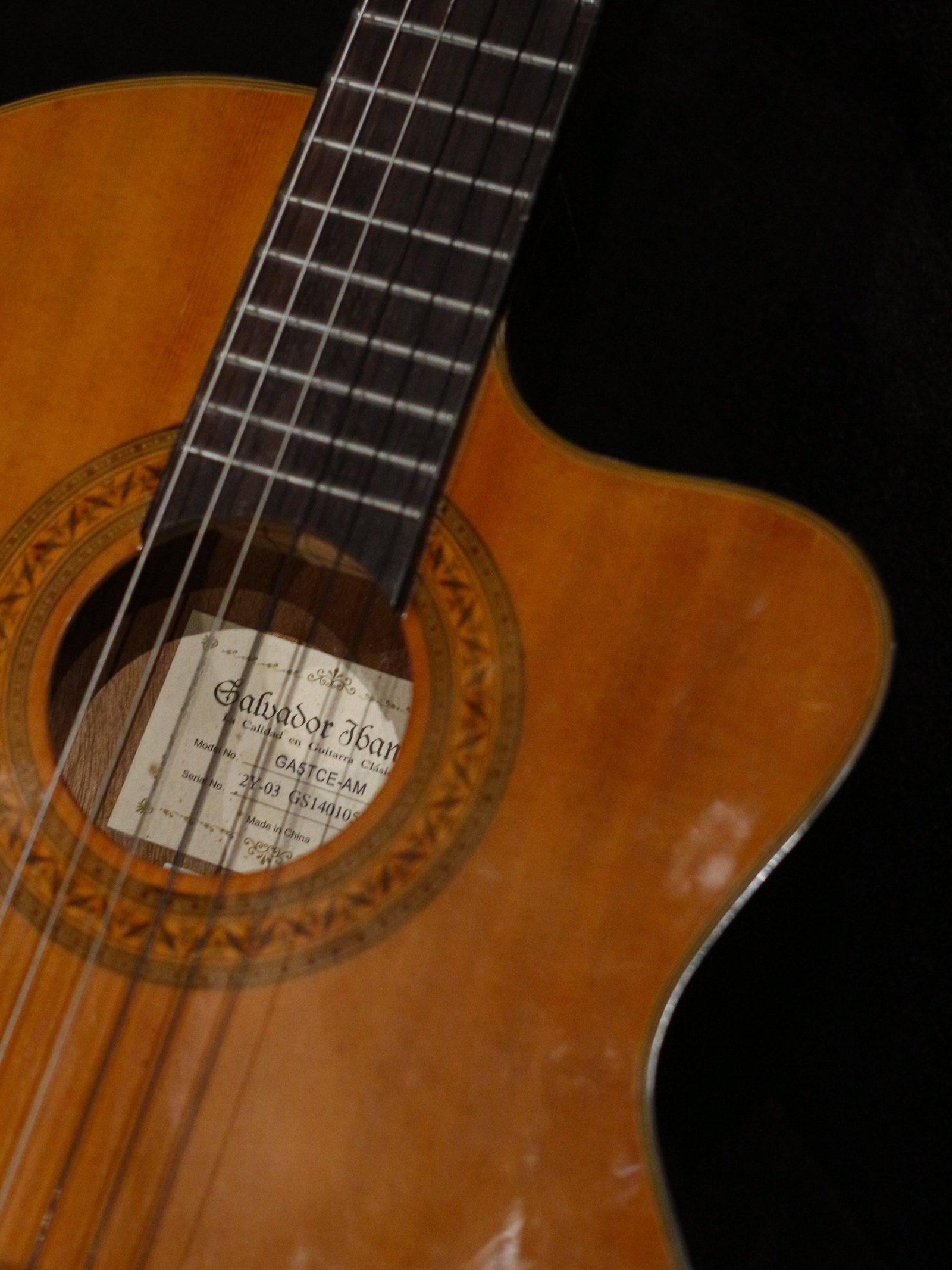Ibanez Thinline Classical Salvador GA5TCE-AM (Used) - Image 3