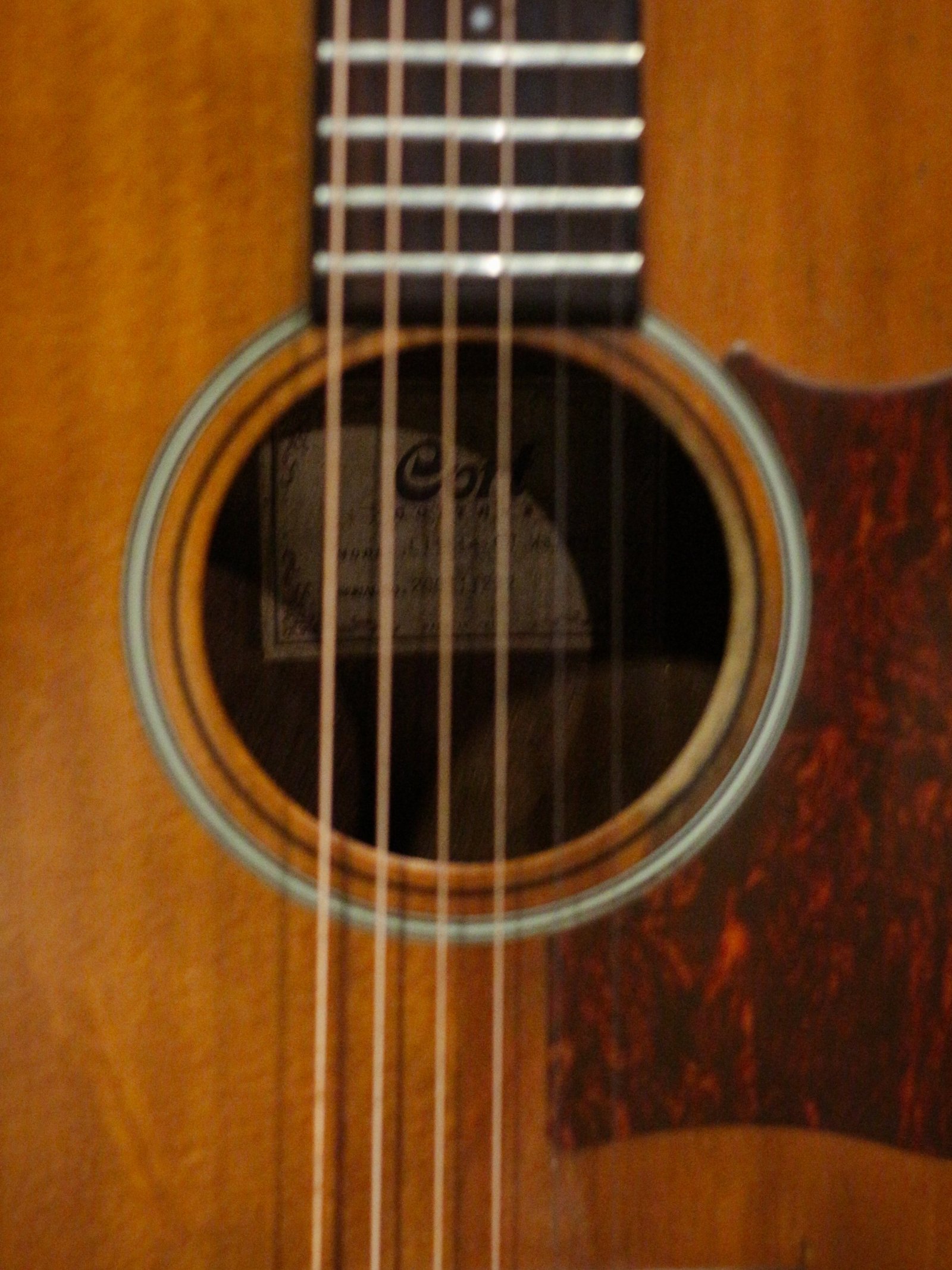 Cort Little CJ Walnut Open Pore Natural (Used) - Image 7