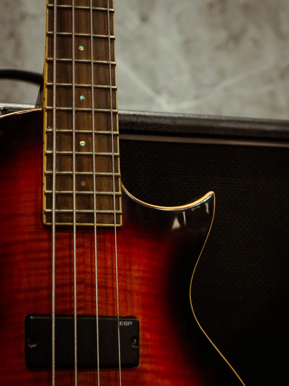 ESP LTD EC-254 Flame Maple Tobacco Sunburst - Image 4