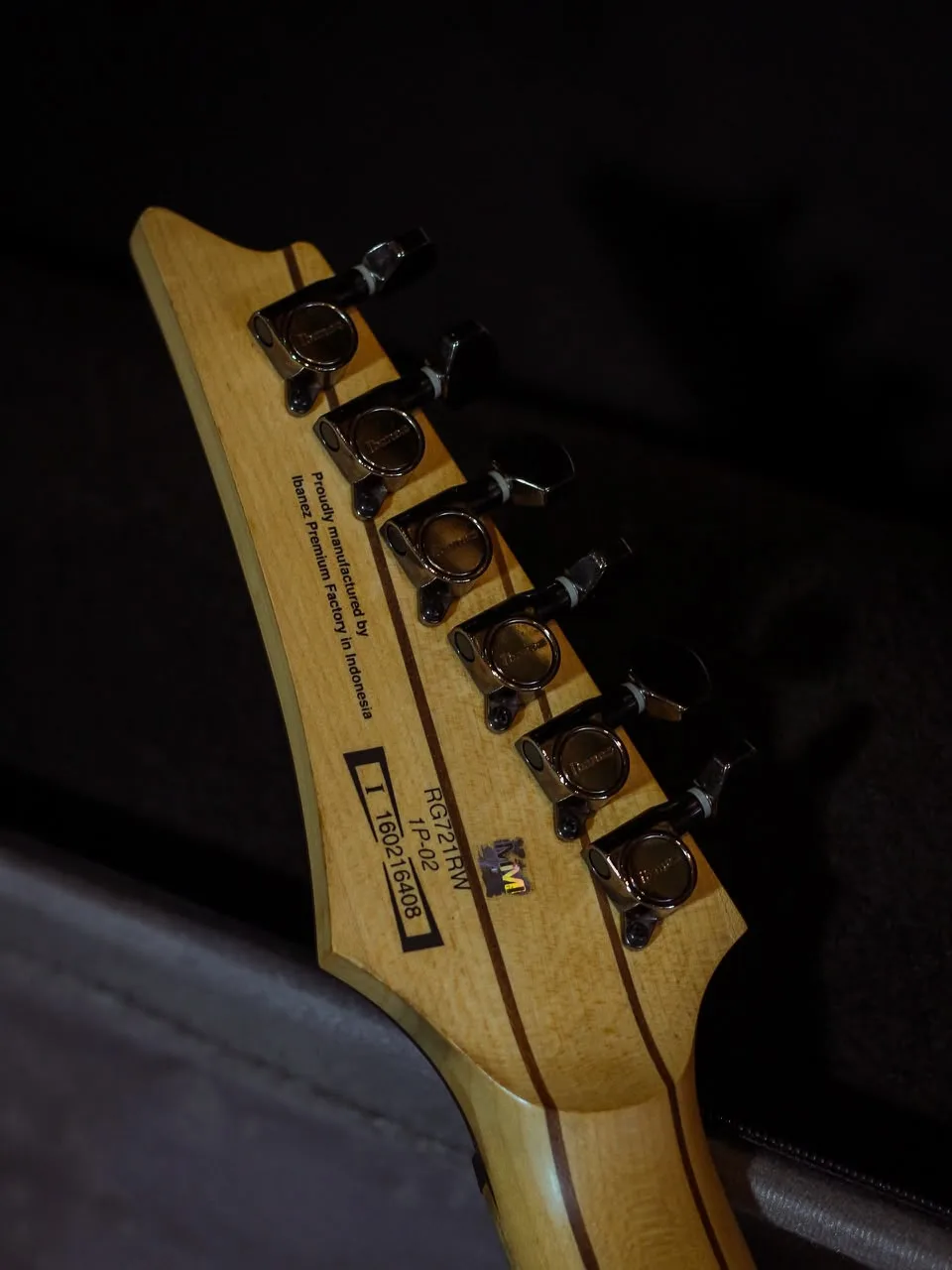 Ibanez Premium RG721RW (Rare Item) - Image 8